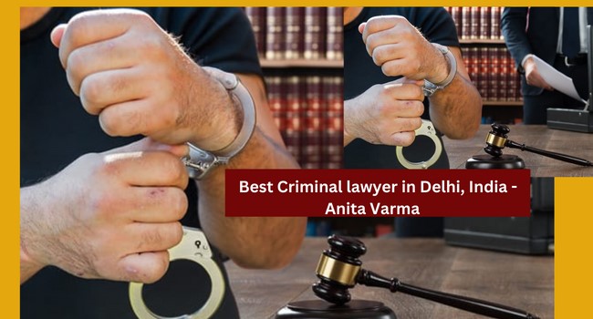 Best Criminal Lawyer in Delhi Expert Advice from Delhi Lawyers